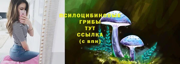 прущие грибы Алексеевка