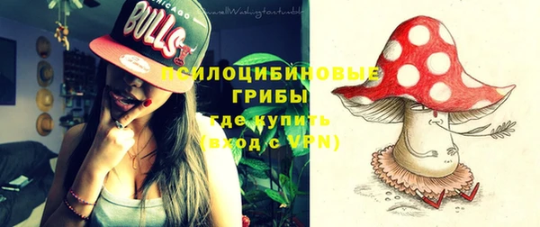 прущие грибы Алексеевка
