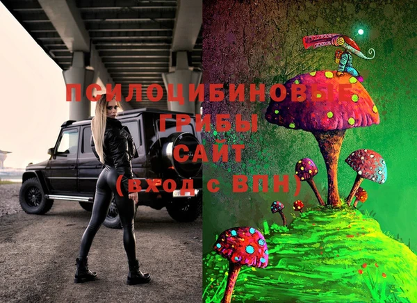 не бодяженный Алексин